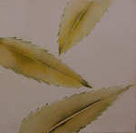 Bitter Leaves Series 5