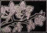 Big House Orchids