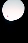 Falling Moon