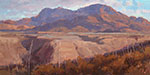 Big Bend Vista