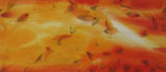 Naranja 2