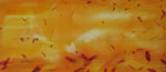 Naranja 4