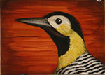 Campo Flicker