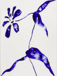 <b>Zinnia</b><br>Ink on paper, 30x22 inches, 36x28 inches framed<br>$1600