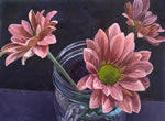 Pink Flowers in Jar