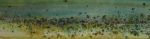 <b>Shell Beach Pools</b>, 2010<br>Watercolor, 7x26.5 image, 13.5x35.5 inches framed<br>$1500