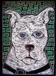 <b>Blue Eyed Dog</b>, 2009<br>Scratchboard, 7x5 inches<br>$100