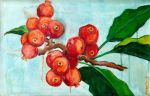 <b>Ripe Pomegranates</b>, 2010<br>Oil on canvas and plexiglass, 11x17 inches<br>$900