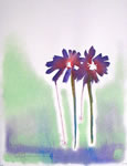 Crying Flowers