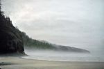 <b>Cape Lookout No. 6</b>, 2010<br>Oil on canvas, 24x36 inches<br>$2000