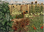 Summer Garden