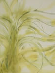 Grass 4