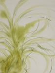 Grass 5
