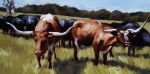 Two Longhorns