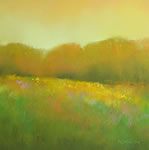 Yellow Wildflowers