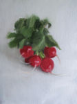 <b>Radishes</b>, 2009<br>Oil on panel, 12x9 inches<br>$1050