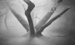 <b>Cluster of Trees</b>, 2010<br>Oil on canvas, 36x60 inches<br><i>sold</i>