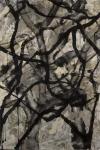 <b>Oak Study II</b>, 2011<br>Acrylic medium and ink on rice paper on panel, 57x38 inches<br>$2800