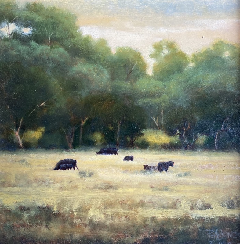 Valley Cows