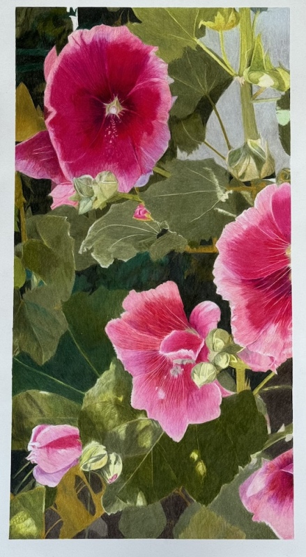 Hollyhocks Taos