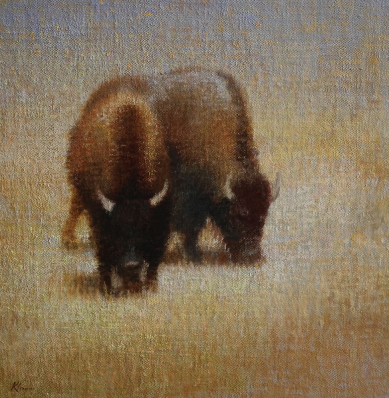 Bison Study