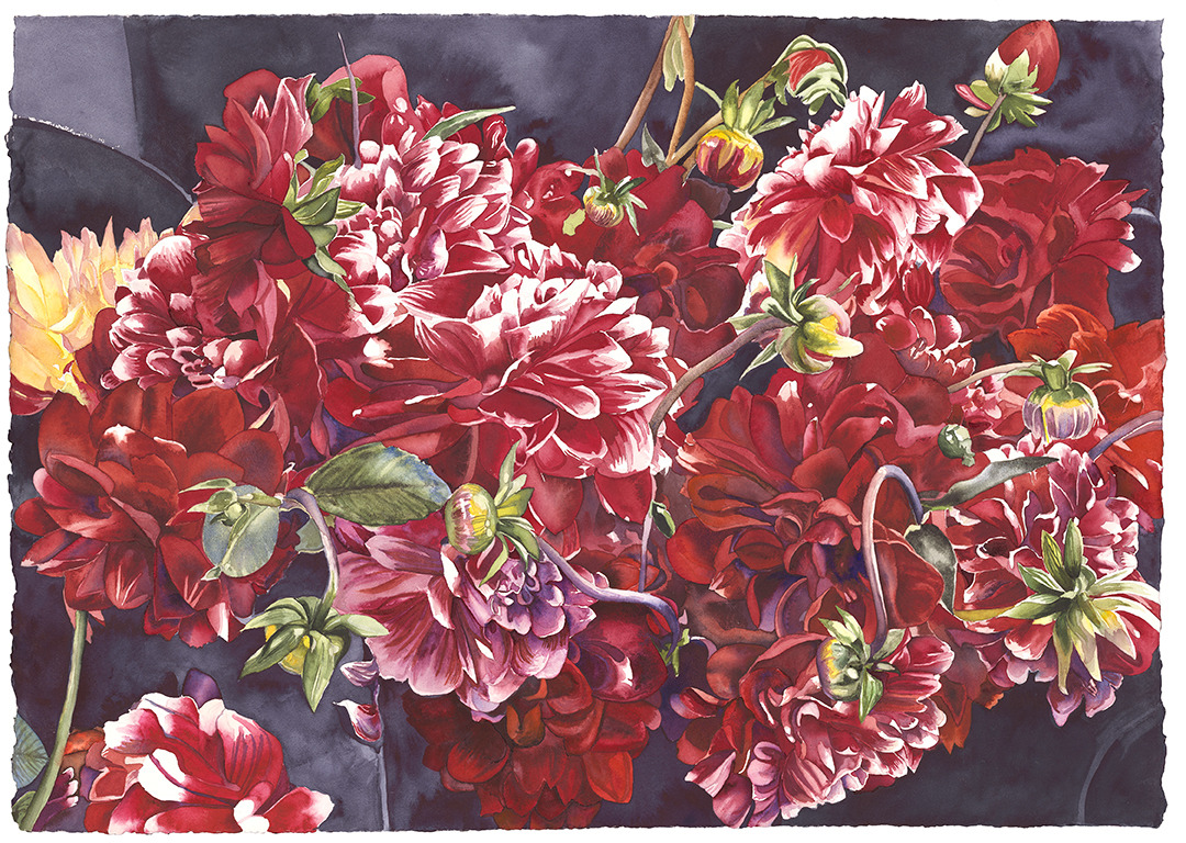 Red Dahlias
