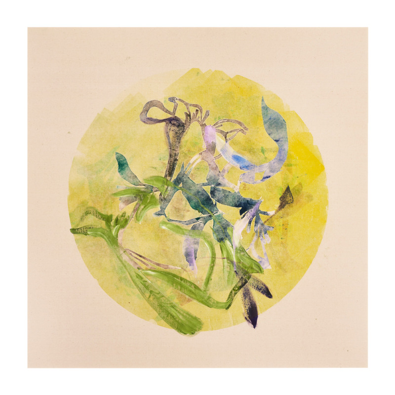 Summer Light I