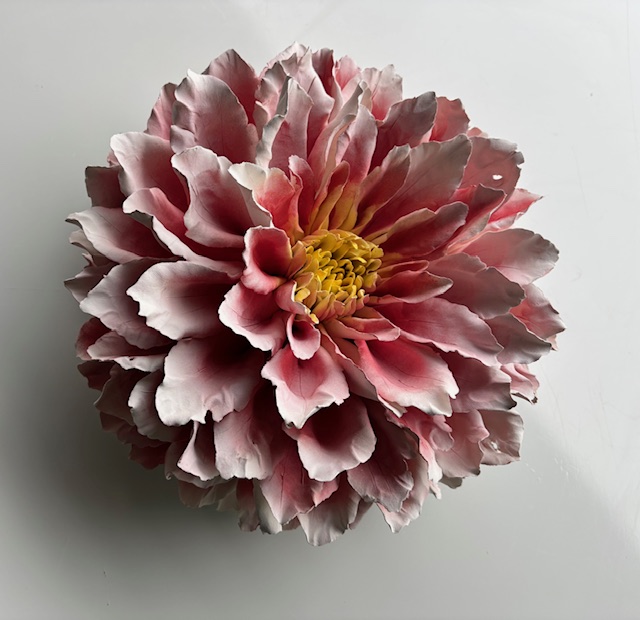 Memorial Dahlia