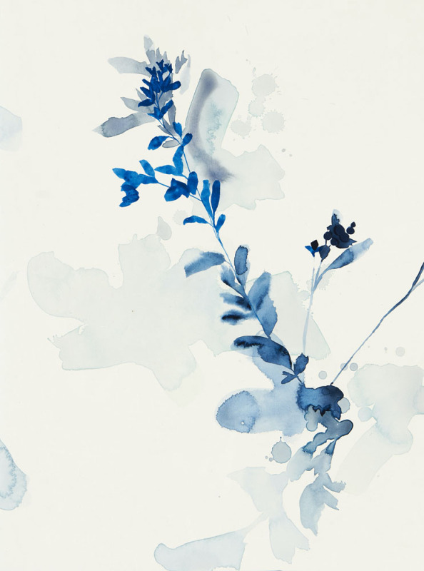Indigo Soft 1