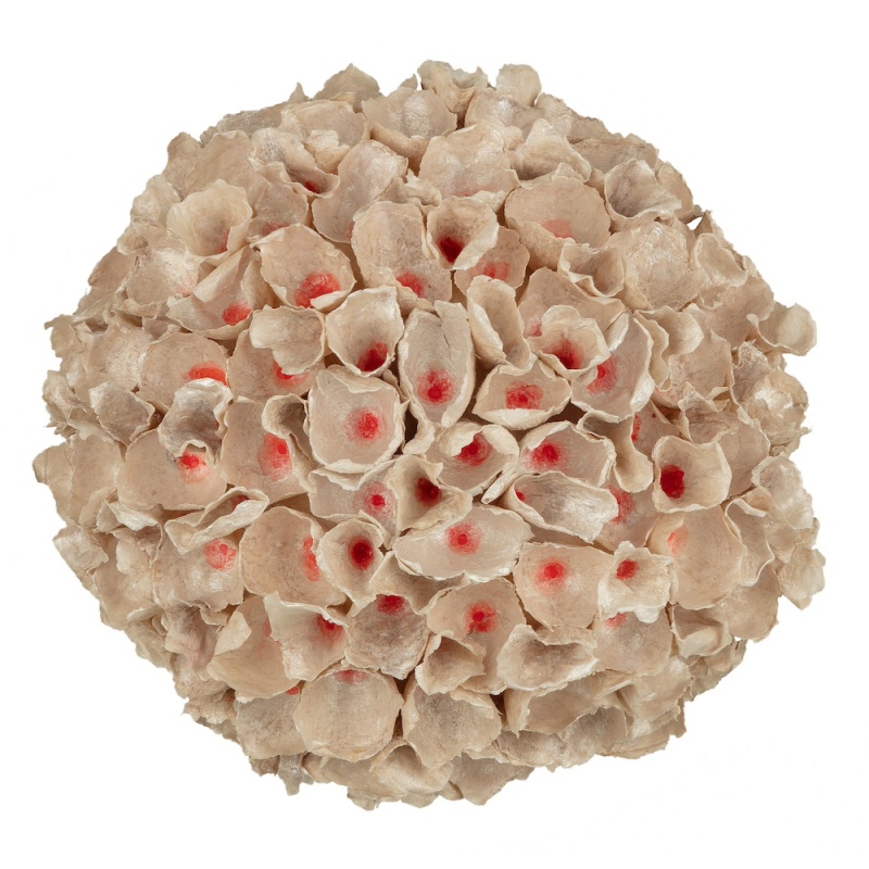 Sphere of Spheres