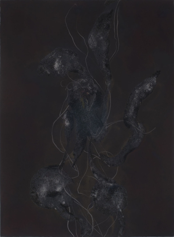 Spider Lily VII