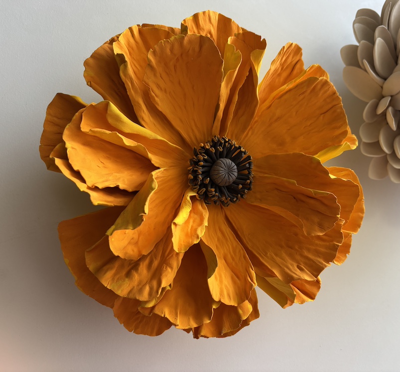 Orange Poppy