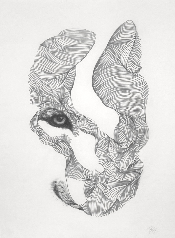 Where the Beginning Hides