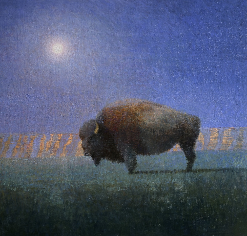 Bison