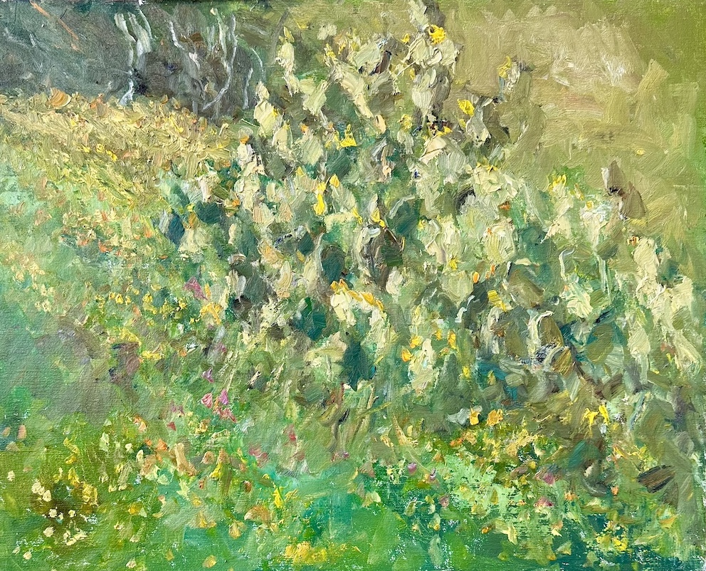 Spring Cactus