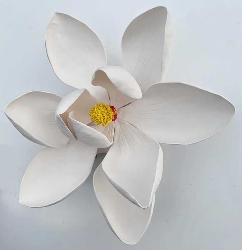 Grandiflorum Magnolia