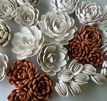 Succulent installation detail shot