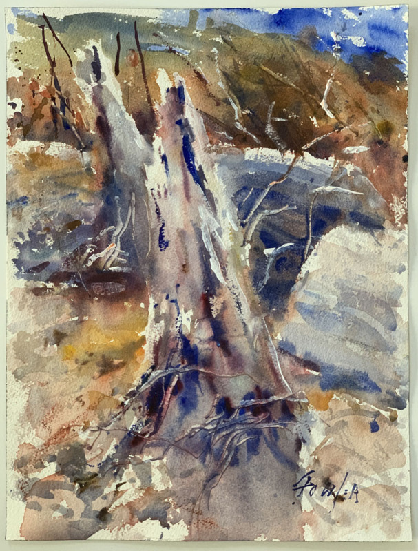 Fall Creek Study