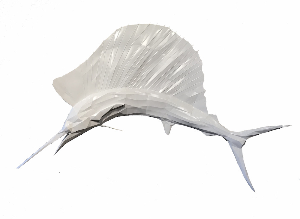 Sailfish