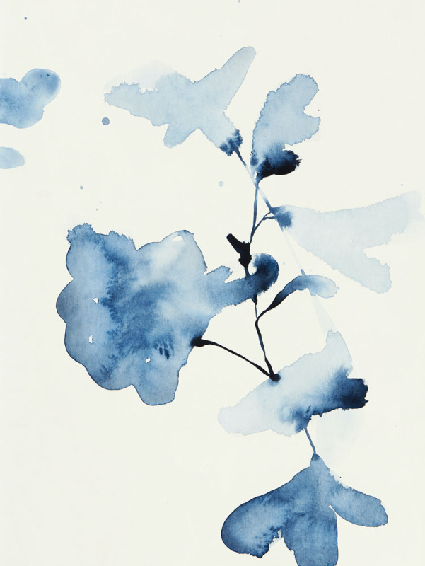 Indigo Soft 4