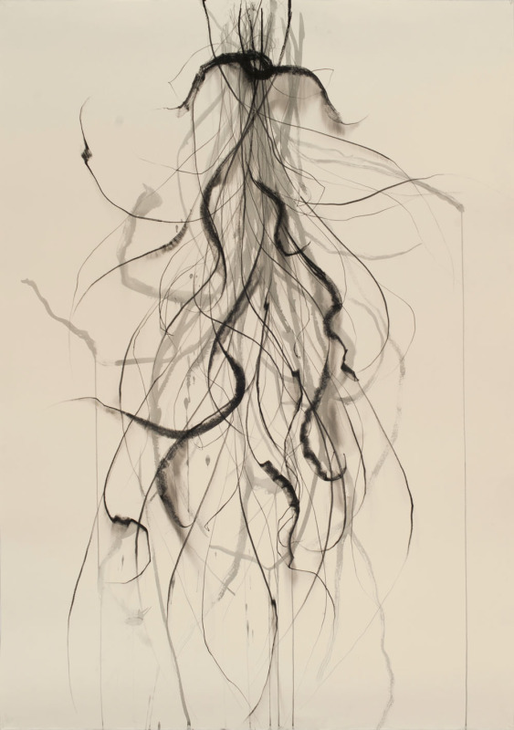 Winter Vines