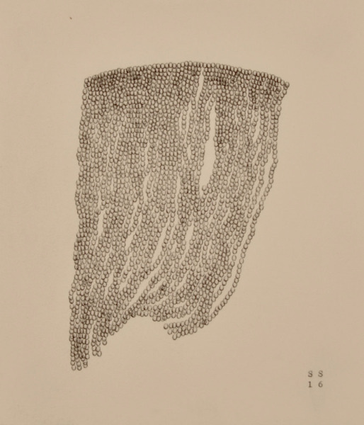 Beard II