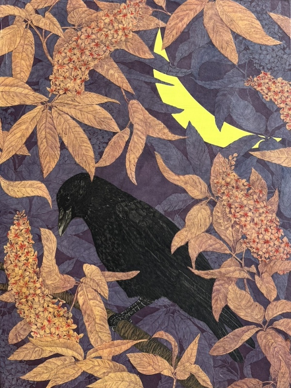 Crow in Buckeye