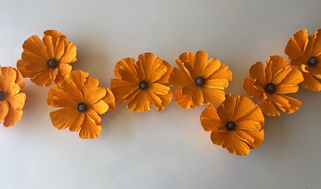 8 Poppies
