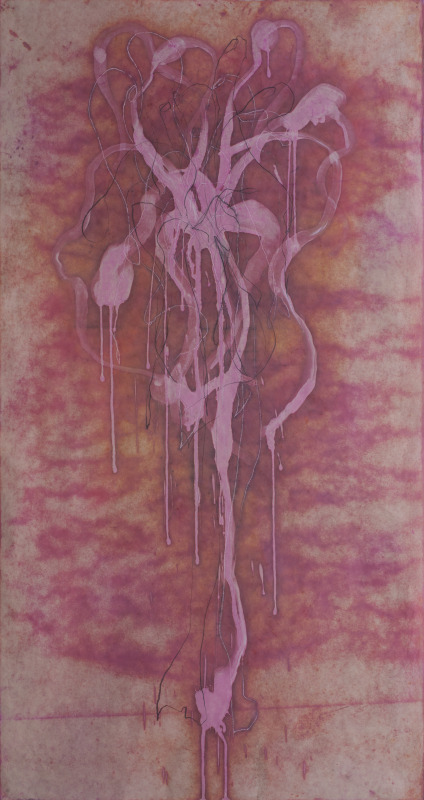 Spider Lily I