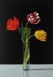 Welcome Spring