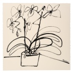 Orchids in Pot