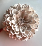White Dahlia