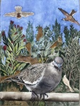 Pompeii Doves