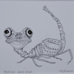 Martian Land Crab